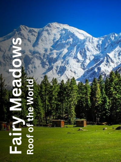 Fairy Meadows